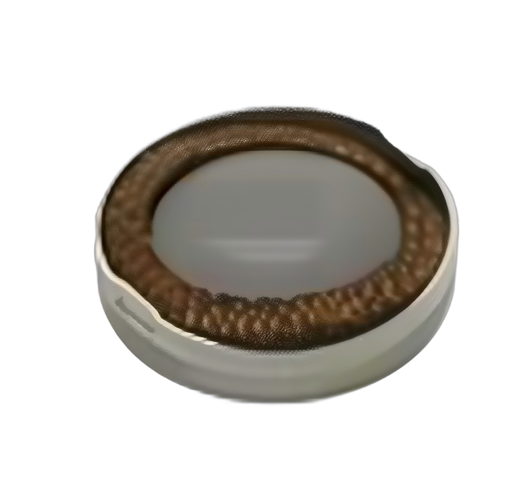 [676066] 067-6066: CAP